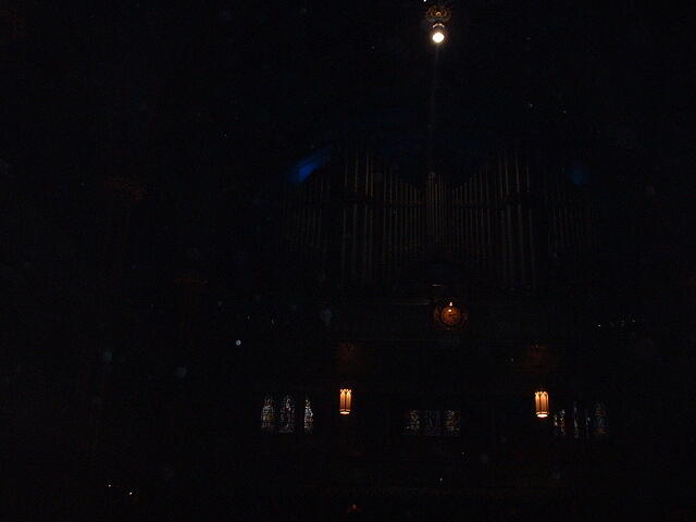 bleak organ