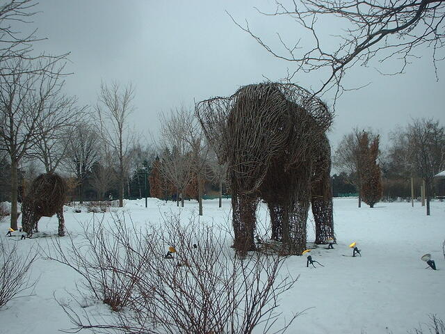 tree elephant