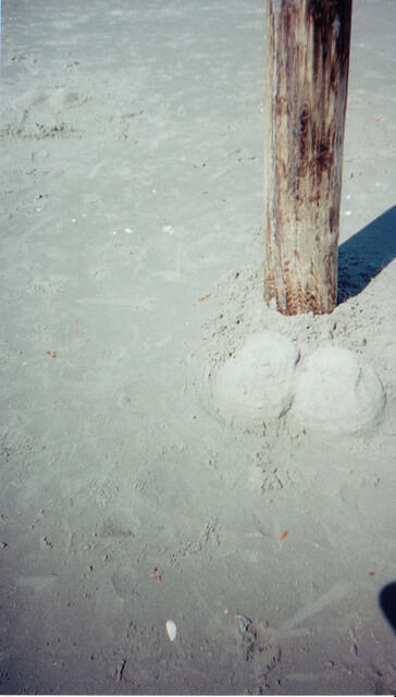 log and nuts