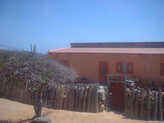 Aruba cactus fence