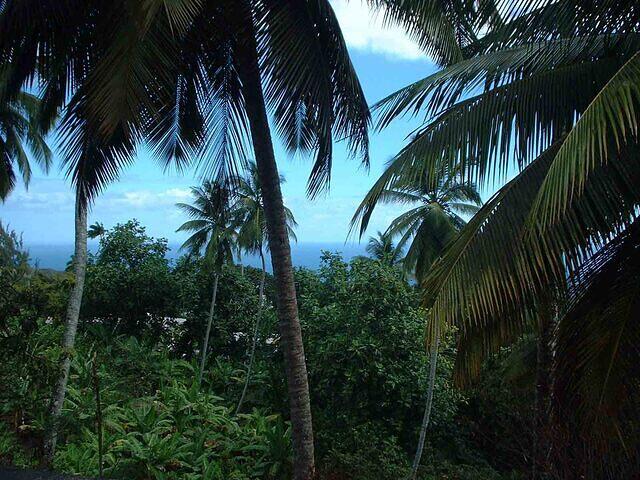 Barbados Safari CoastView7