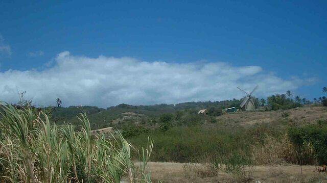 Barbados Safari windmill