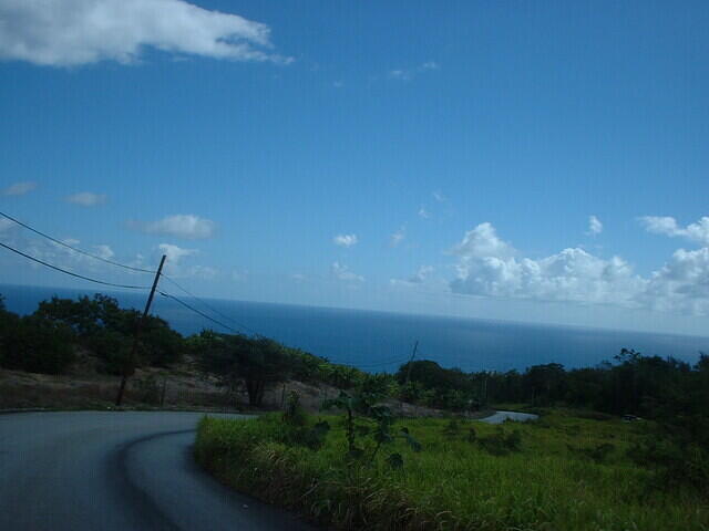 DSCF0113