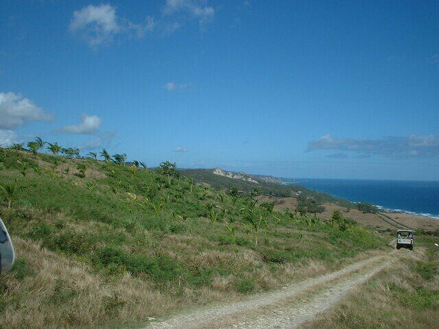 DSCF0115