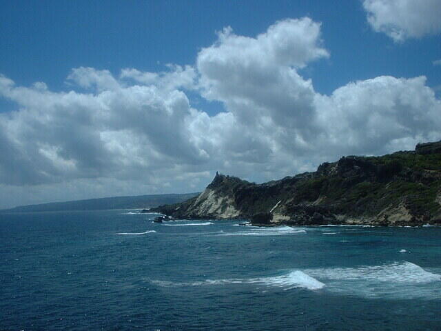 DSCF0133