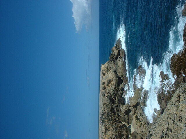 DSCF0134
