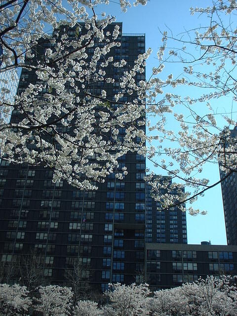 BatteryPark03 2