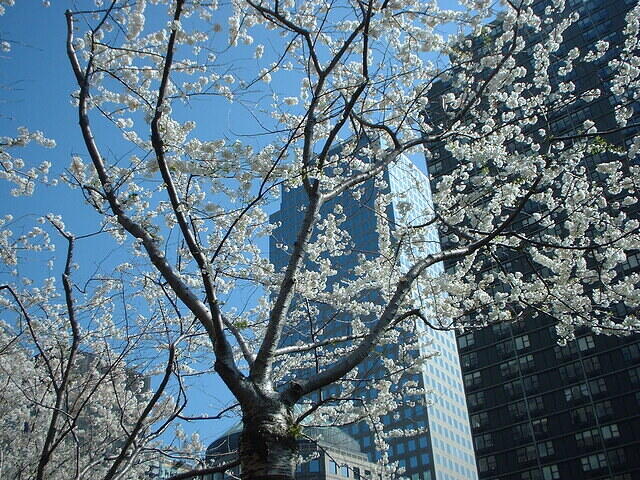 BatteryPark03 3