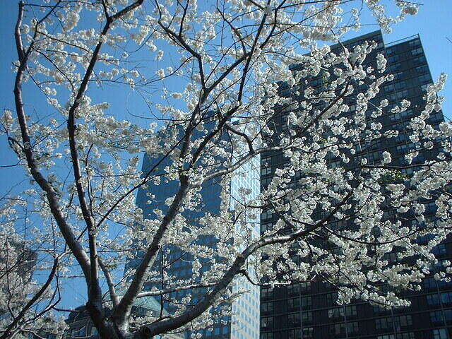 BatteryPark03 4