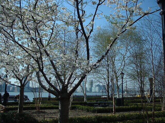 BatteryPark03 5
