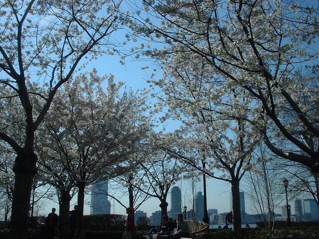 BatteryPark03 6