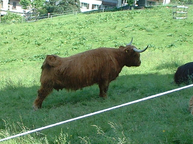 JPEG Digital Camera 108