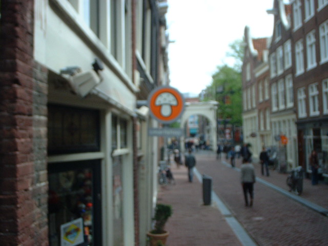 JPEG Digital Camera 6