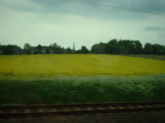 JPEG Digital Camera 7
