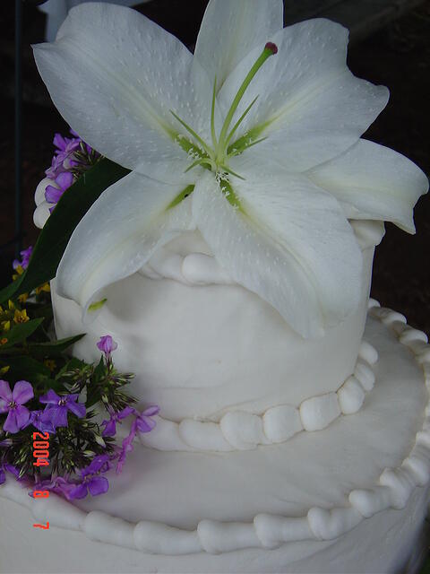 cake top 001