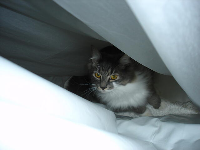 DSC00506