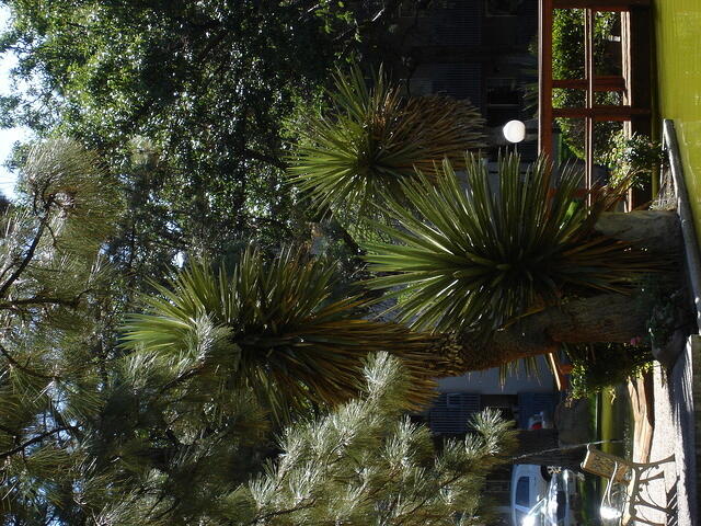 ABQ 2 174