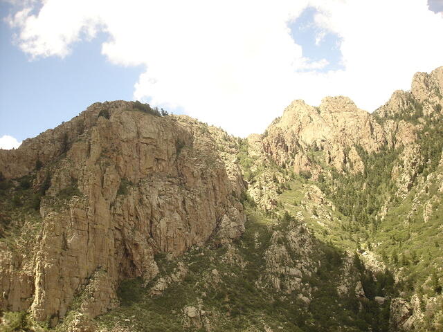 DSC01815