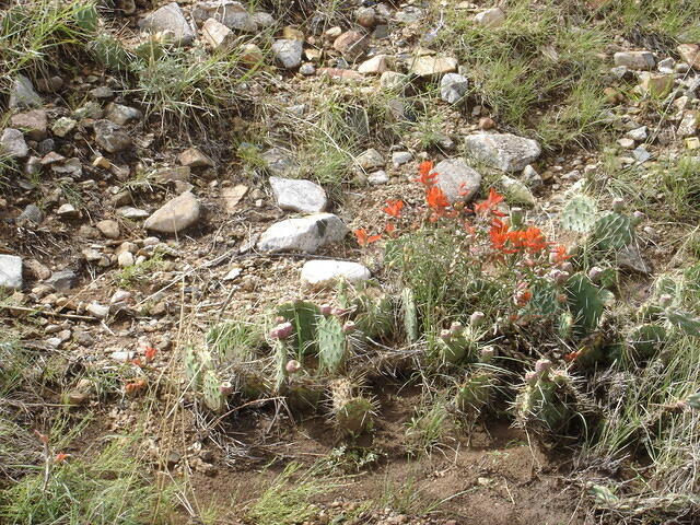 ABQ day5 025