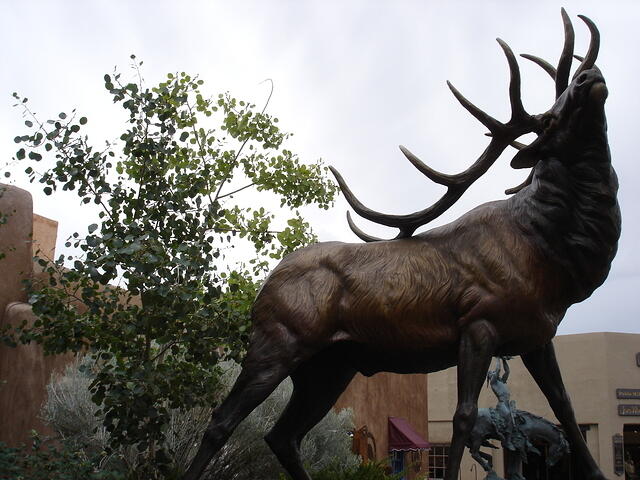 ABQ day5 053
