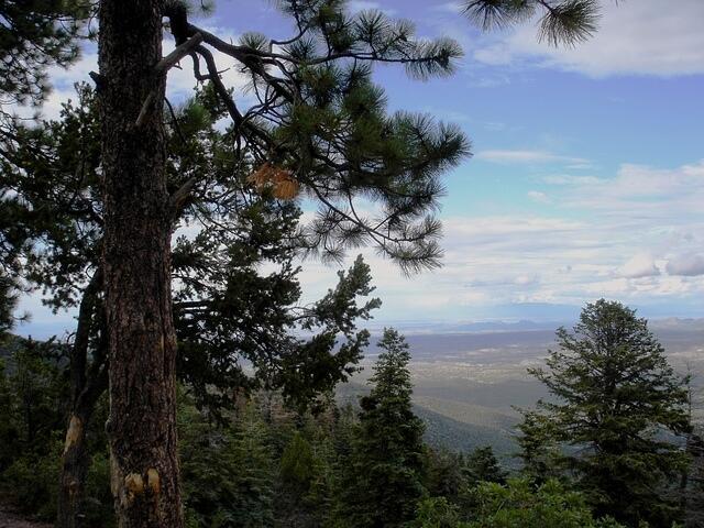 ABQ day5 079