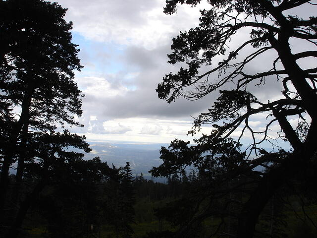 ABQ day5 094