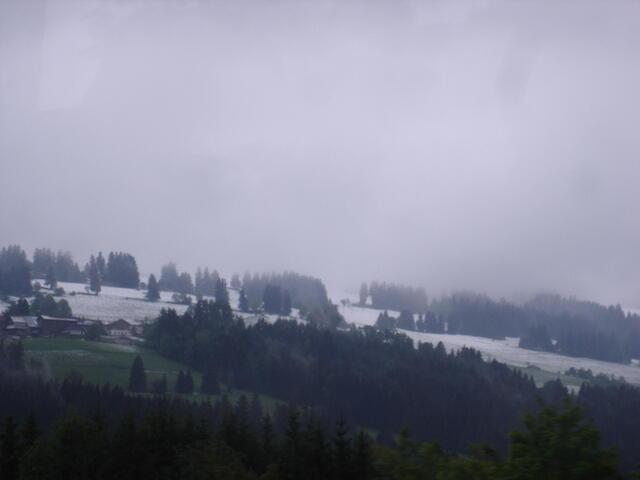 DSC01133 001