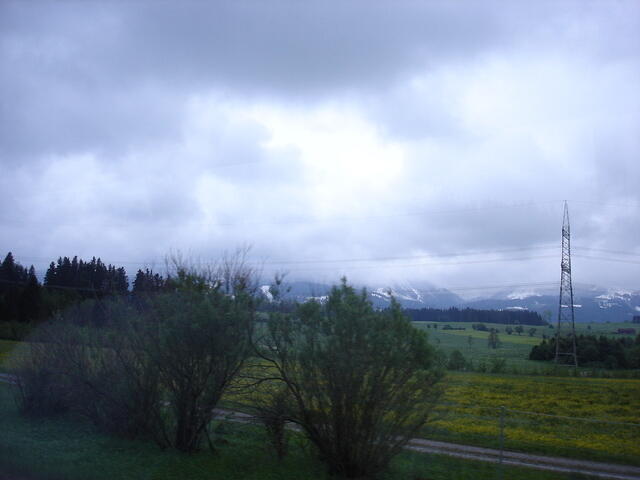 DSC01135 001