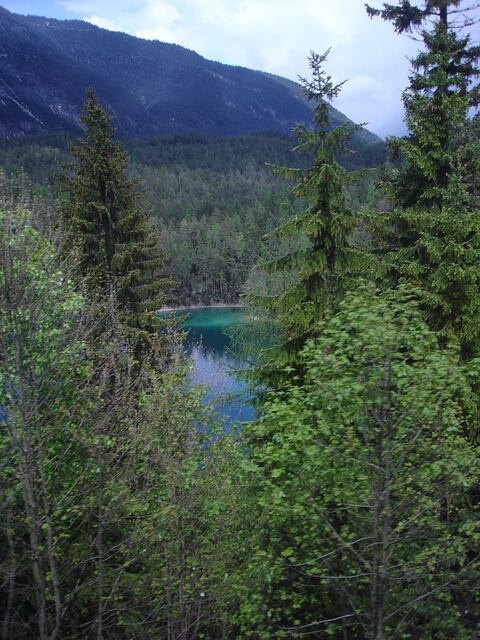 DSC01164