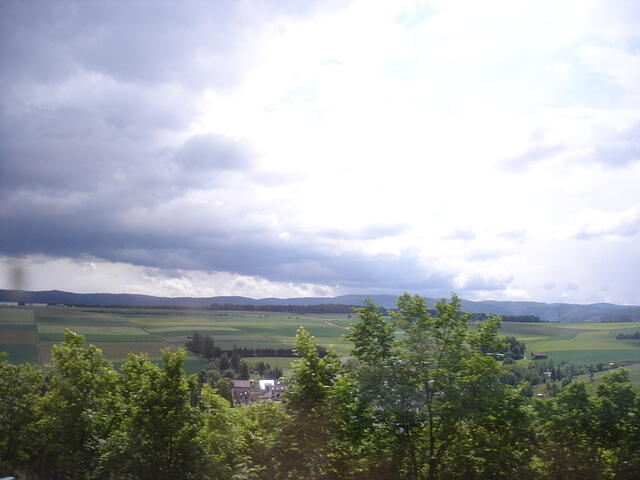 DSC01082