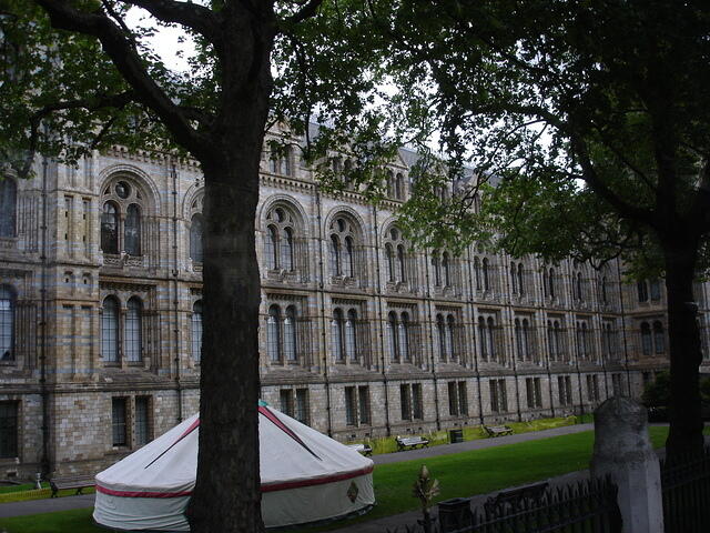 DSC00917