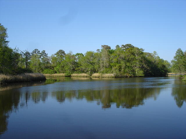 DSC02763