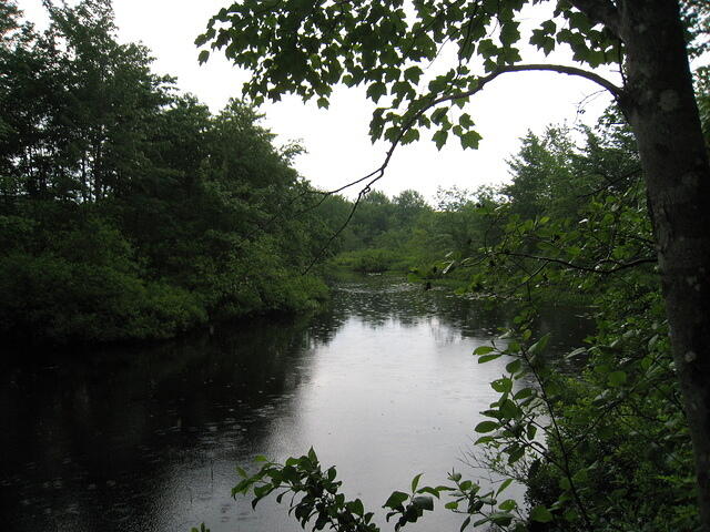 IMG 0003
