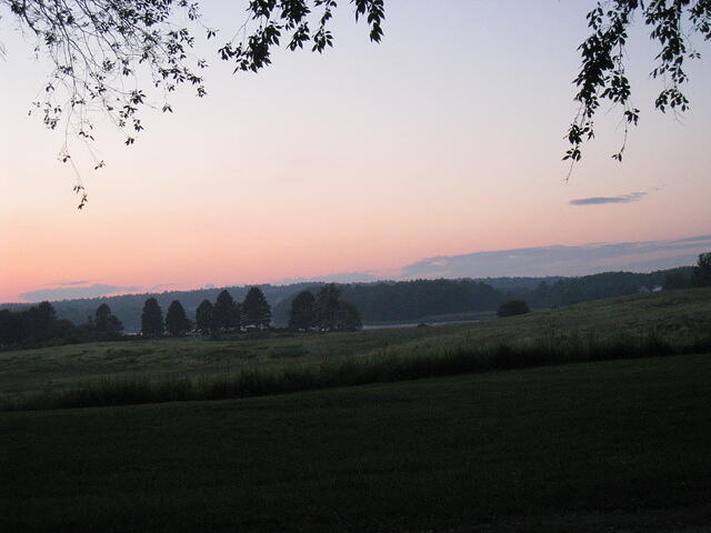 IMG 0030