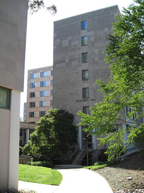IMG 1089