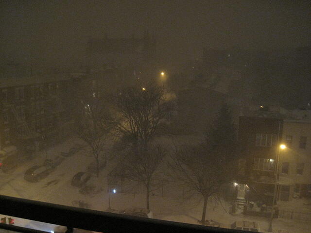 IMG 5699