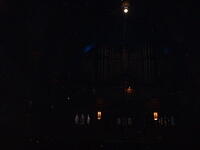 bleak organ
