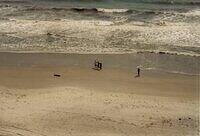 Playing on the beach