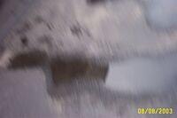 DCP 0080