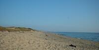 CapeCodTripBeach