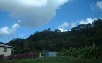 Barbados Safari watchtower