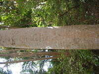 DSCF0107