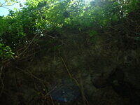 DSCF0108