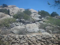 DSCF0138