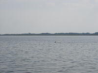 vacationJune05 089