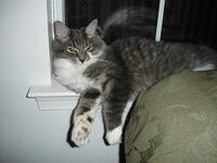 Early Summer VA Pics 029