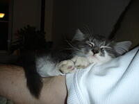 Early Summer VA Pics 061