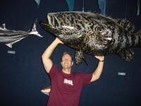 ABQ 2 005a