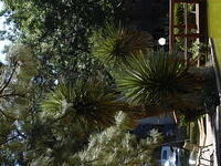 ABQ 2 174