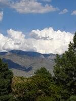 DSC01543